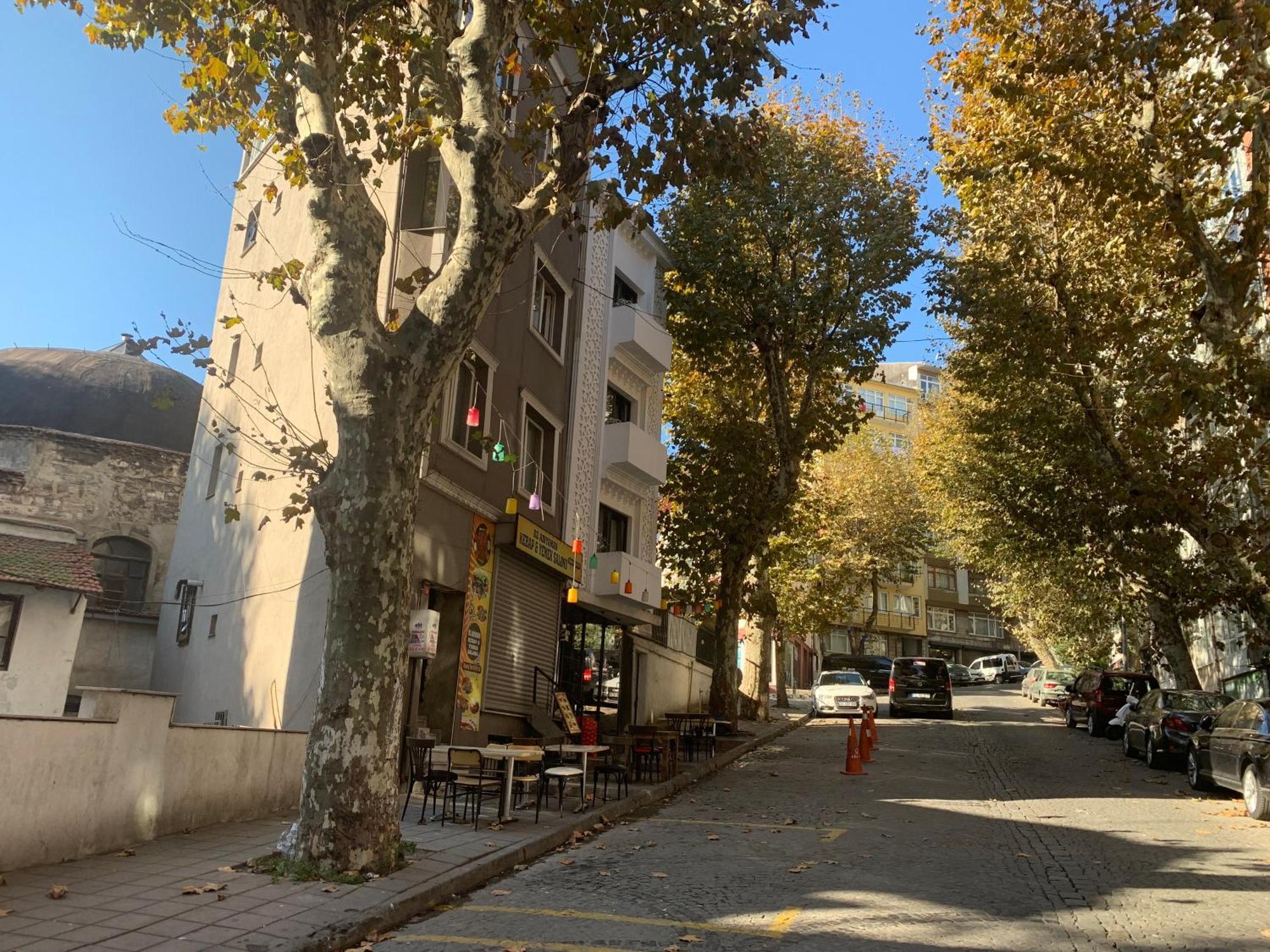 Valeria House — Fotoğraflar 2